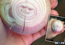 Tags: onion, plotting (Pict. in My r/PICS favs)