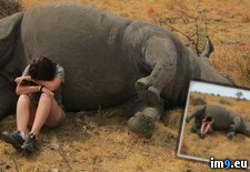 Tags: reserve, rhino, wildlife, worker (Pict. in My r/PICS favs)