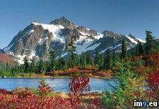 Tags: forest, national, perfect, picture, snoqualmie, washington (Pict. in Beautiful photos and wallpapers)