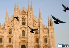 Tags: cathedral, italy, milan, pigeons (Pict. in Beautiful photos and wallpapers)