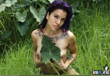 Tags: boobs, emo, freshgreenday, hot, plumlotus, porn, sexy, softcore, tits (Pict. in SuicideGirlsNow)