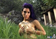 Tags: freshgreenday, girls, hot, nature, plumlotus, porn, sexy, softcore, tatoo (Pict. in SuicideGirlsNow)