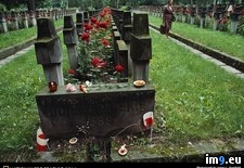 Tags: cemetery, polish (Pict. in National Geographic Photo Of The Day 2001-2009)
