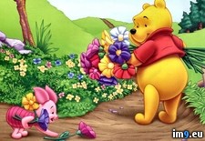 Tags: cartoons, for, kids, piglet, pooh, summertime (Pict. in Cartoon Wallpapers And Pics)