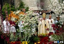 Tags: easter, pope, sunday (Pict. in National Geographic Photo Of The Day 2001-2009)