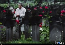 Tags: cemetery, powazki (Pict. in National Geographic Photo Of The Day 2001-2009)