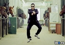 Tags: dance, gangnam, horses, music, psys, style, video (Pict. in Rehost)