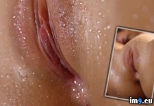 Tags: droplets, hot, masturbation, pussy, shaved, smooth, water (Pict. in My r/PUSSY favs)