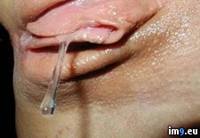 Pussy Fuck 2 - 50 KB Tags: fuck, pussy (Pict. in Pussy Fucking)