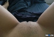 Tags: pussy, trimmed, wanna, wife (Pict. in My r/PUSSY favs)