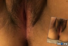 Tags: furry, pussy, wife (Pict. in My r/PUSSY favs)