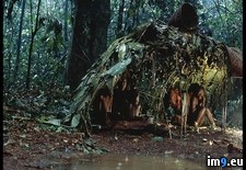 Tags: family, pygmy (Pict. in National Geographic Photo Of The Day 2001-2009)