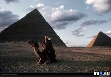 Tags: conger, pyramids (Pict. in National Geographic Photo Of The Day 2001-2009)