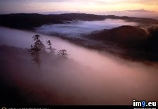 Tags: forest, mist, rain (Pict. in National Geographic Photo Of The Day 2001-2009)