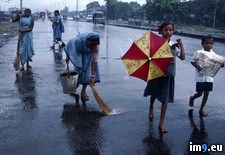 Tags: day, rainy, work (Pict. in National Geographic Photo Of The Day 2001-2009)