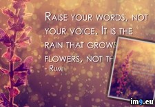 Tags: big, not, quote, raise, rumi, voice, words, your (Pict. in Rehost)