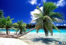 Tags: french, polynesia, rangiroa, tahiti (Pict. in Beautiful photos and wallpapers)
