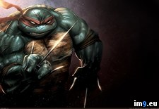 Tags: mutant, ninja, raphael, teenage, turtles, wallpaper, wide (Pict. in Unique HD Wallpapers)