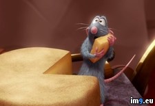Tags: cartoons, for, kids, ratatouille (Pict. in Cartoon Wallpapers And Pics)