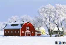 Tags: barn, canada, hoarfrost, manitoba, red (Pict. in Beautiful photos and wallpapers)