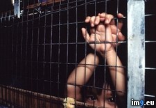 Tags: girl, refugee (Pict. in National Geographic Photo Of The Day 2001-2009)