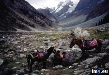 Tags: resting, riders (Pict. in National Geographic Photo Of The Day 2001-2009)