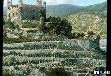 Tags: castle, reichenstein, rhine, river, terraced, valley, vineyards (Pict. in Branson DeCou Stock Images)