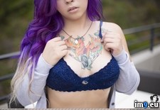 Tags: boobs, emo, girls, hot, nature, purpleandtea, risk, sexy, tatoo, tits (Pict. in SuicideGirlsNow)