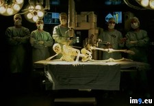 Tags: operation, robot (Pict. in National Geographic Photo Of The Day 2001-2009)