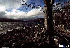 Tags: rocky, shoreline (Pict. in National Geographic Photo Of The Day 2001-2009)