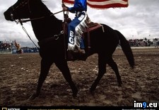 Tags: rider, rodeo (Pict. in National Geographic Photo Of The Day 2001-2009)