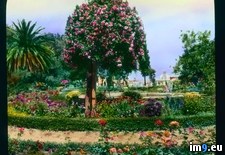 Tags: farnese, garden, gardens, general, hill, palatine, rome (Pict. in Branson DeCou Stock Images)