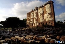 Tags: rome, ruins, wall (Pict. in National Geographic Photo Of The Day 2001-2009)