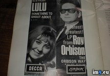 Tags: orbison, prog, roy (Pict. in new 1)