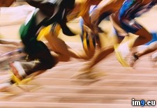 Tags: australia, games, motion, olympic, runners, sydney (Pict. in Beautiful photos and wallpapers)