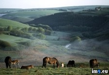 Tags: hedgerows, rural (Pict. in National Geographic Photo Of The Day 2001-2009)