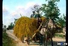 Tags: farmers, hay, leningrad, petersburg, saint, transporting (Pict. in Branson DeCou Stock Images)