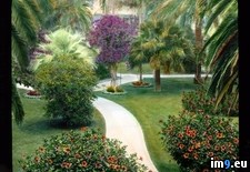 Tags: california, demolished, exposition, francisco, garden, international, pacific, panama, path, san (Pict. in Branson DeCou Stock Images)