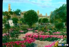 Tags: gardens, gimignano, san (Pict. in Branson DeCou Stock Images)