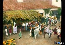 Tags: barbara, california, costumed, donkeys, festival, fiesta, goers, old, santa, spanish (Pict. in Branson DeCou Stock Images)