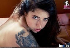 Tags: boobs, emo, girls, nature, sash, sexy, softcore, tatoo, thegrove (Pict. in SuicideGirlsNow)