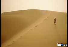 Tags: arabian, dune, sand, saudi (Pict. in National Geographic Photo Of The Day 2001-2009)