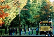 Tags: bus, school (Pict. in National Geographic Photo Of The Day 2001-2009)
