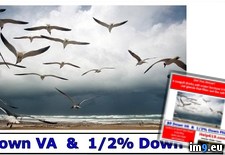 Seagulls Drink Salt Water Century 21 Award San Diego Linda Ring - 120 KB Tags: award, century, diego, drink, linda, ring, salt, san, seagulls, water (Pict. in Linda Ring Century 21 Award San Diego Real Estate)