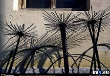 Tags: brushes, chimney, sebrov (Pict. in National Geographic Photo Of The Day 2001-2009)