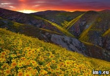 Tags: california, canyon, carrizo, plain, secret, sunset (Pict. in Beautiful photos and wallpapers)