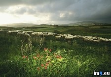 Tags: farm, sheep (Pict. in National Geographic Photo Of The Day 2001-2009)