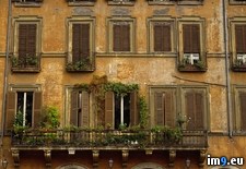 Tags: architecture, italy, rome, shuttered, windows (Pict. in Beautiful photos and wallpapers)
