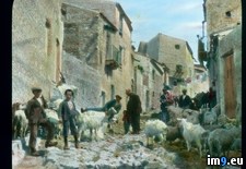 Tags: goats, sicily, townspeople (Pict. in Branson DeCou Stock Images)