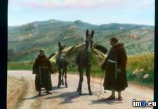 Tags: donkeys, friars, laden, leading, sicily, two (Pict. in Branson DeCou Stock Images)